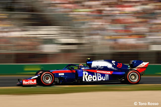 Toro Rosso - Clasficación - GP Australia 2019