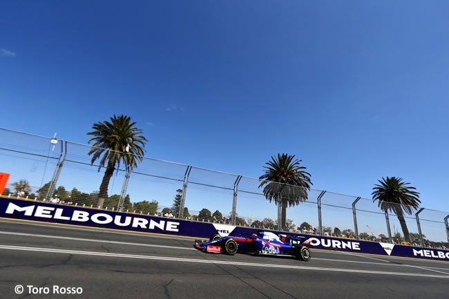 Toro Rosso - Entrenamientos - GP Australia 2019