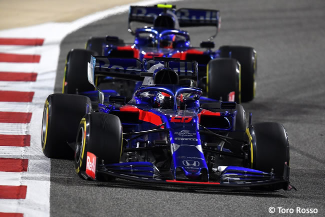 Toro Rosso - GP Bahréin 2019