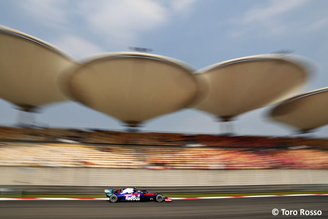 Toro Rosso - GP China 2019 - Viernes