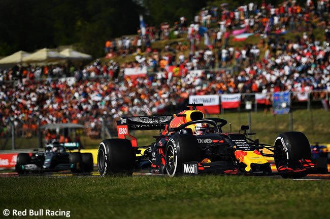 Max Verstappen - Red Bull - Carrera - GP Hungría 2019