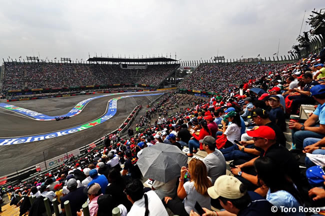 Toro Rosso - Clasificación - GP México 2019